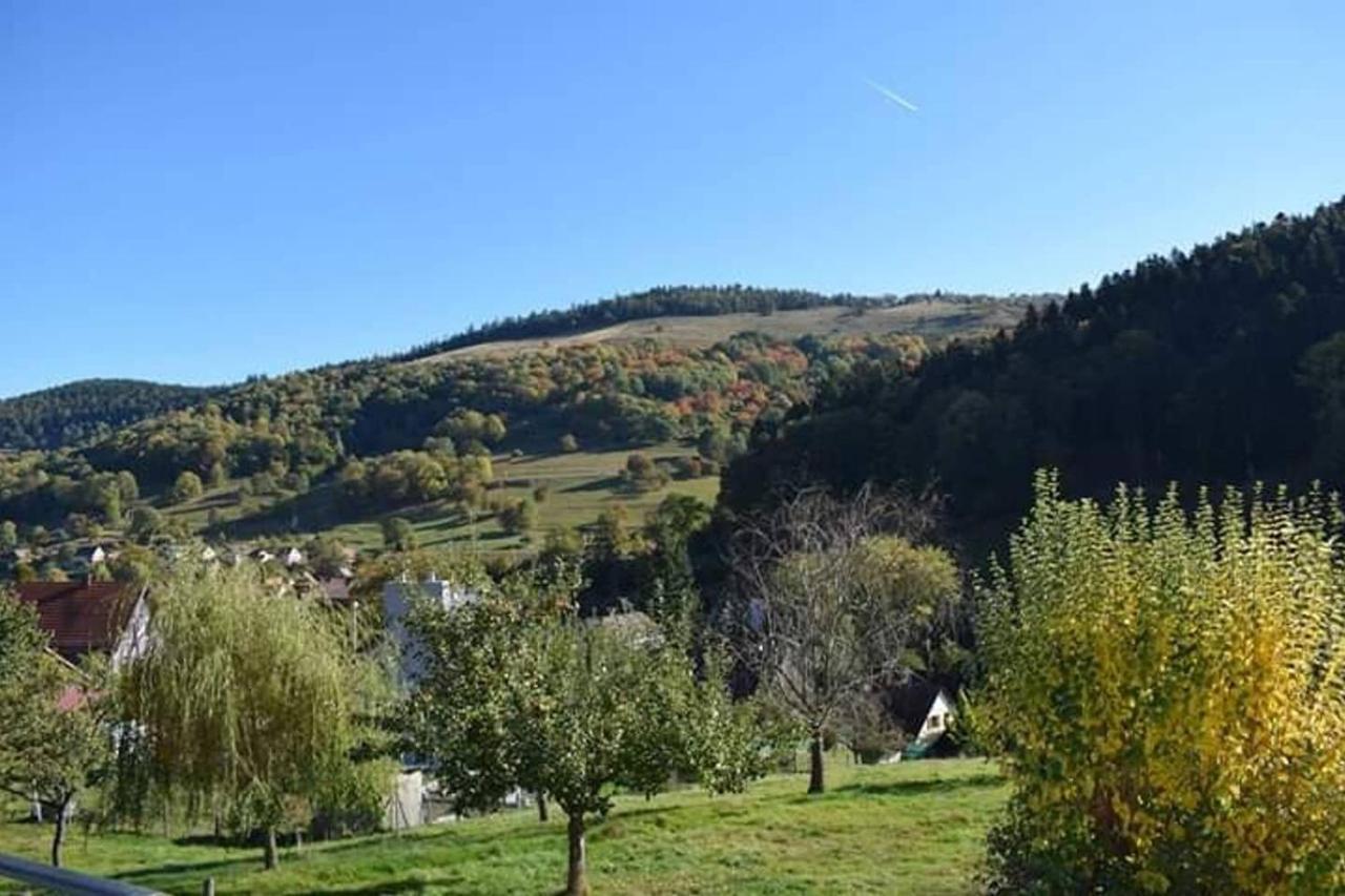 Les Locations De Stephanie ,Gite Le Verger Sondernach المظهر الخارجي الصورة