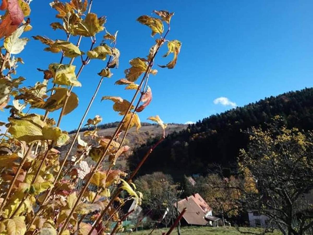 Les Locations De Stephanie ,Gite Le Verger Sondernach المظهر الخارجي الصورة