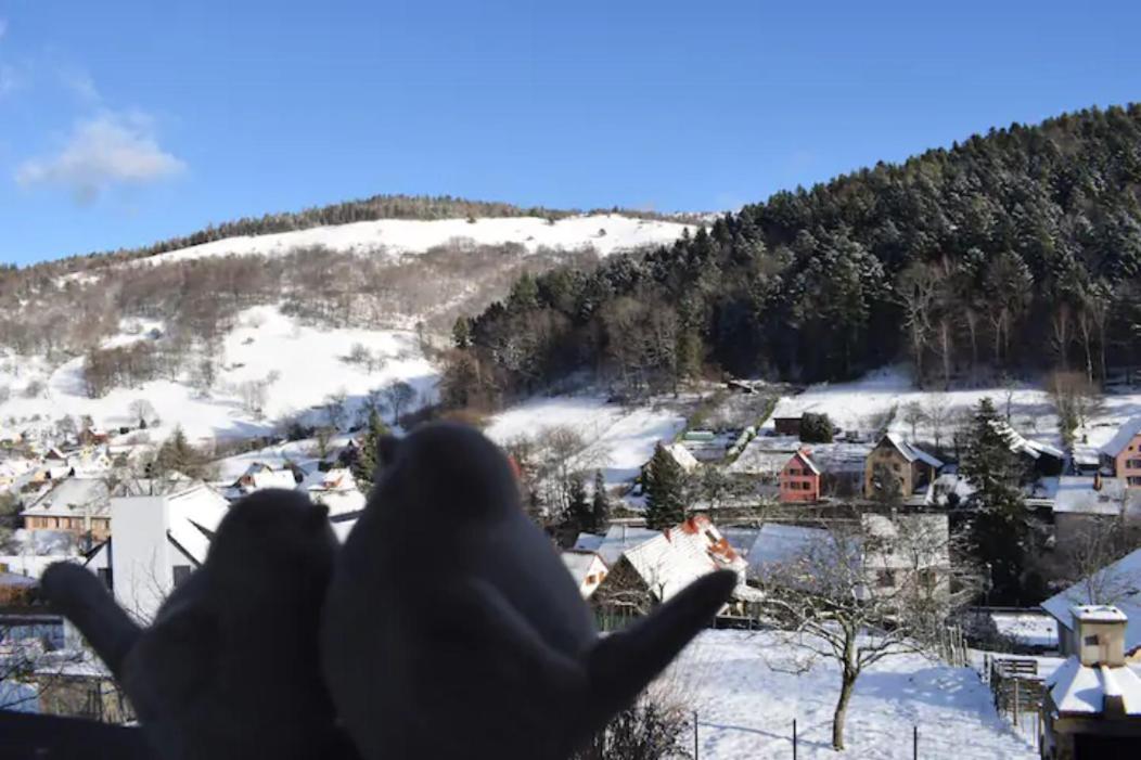 Les Locations De Stephanie ,Gite Le Verger Sondernach المظهر الخارجي الصورة